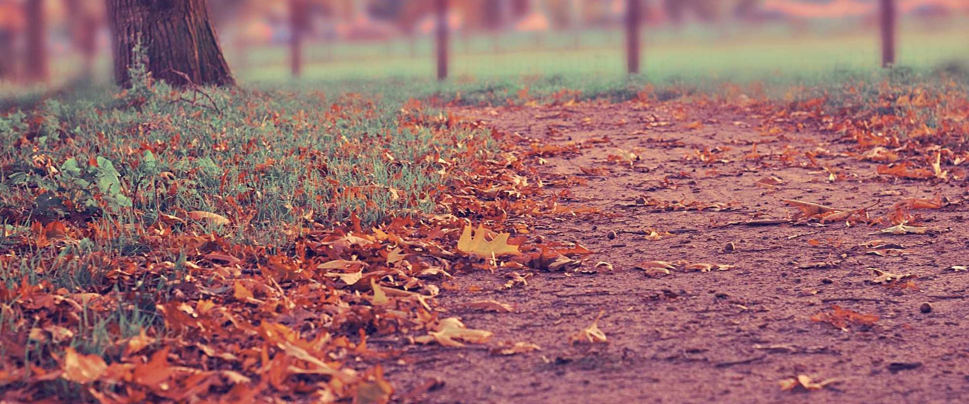 �����ͼ����